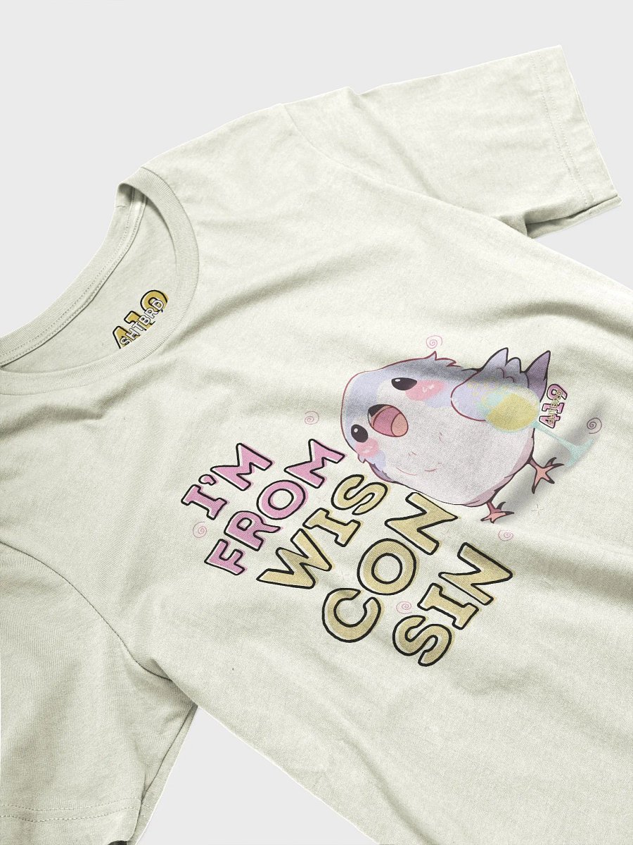 I'm From Wisconsin Bright-Colored T-Shirt product image (3)