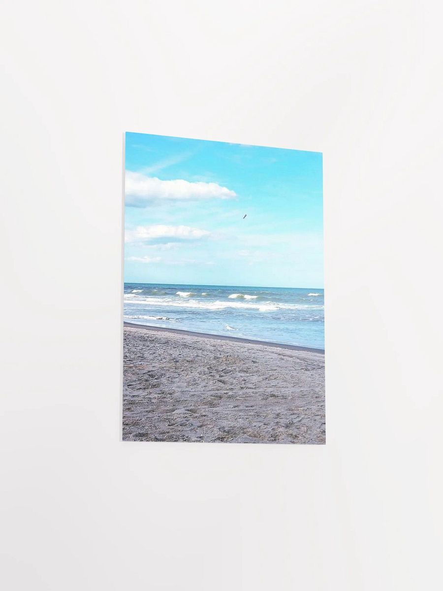 Wilber By The Sea product image (29)