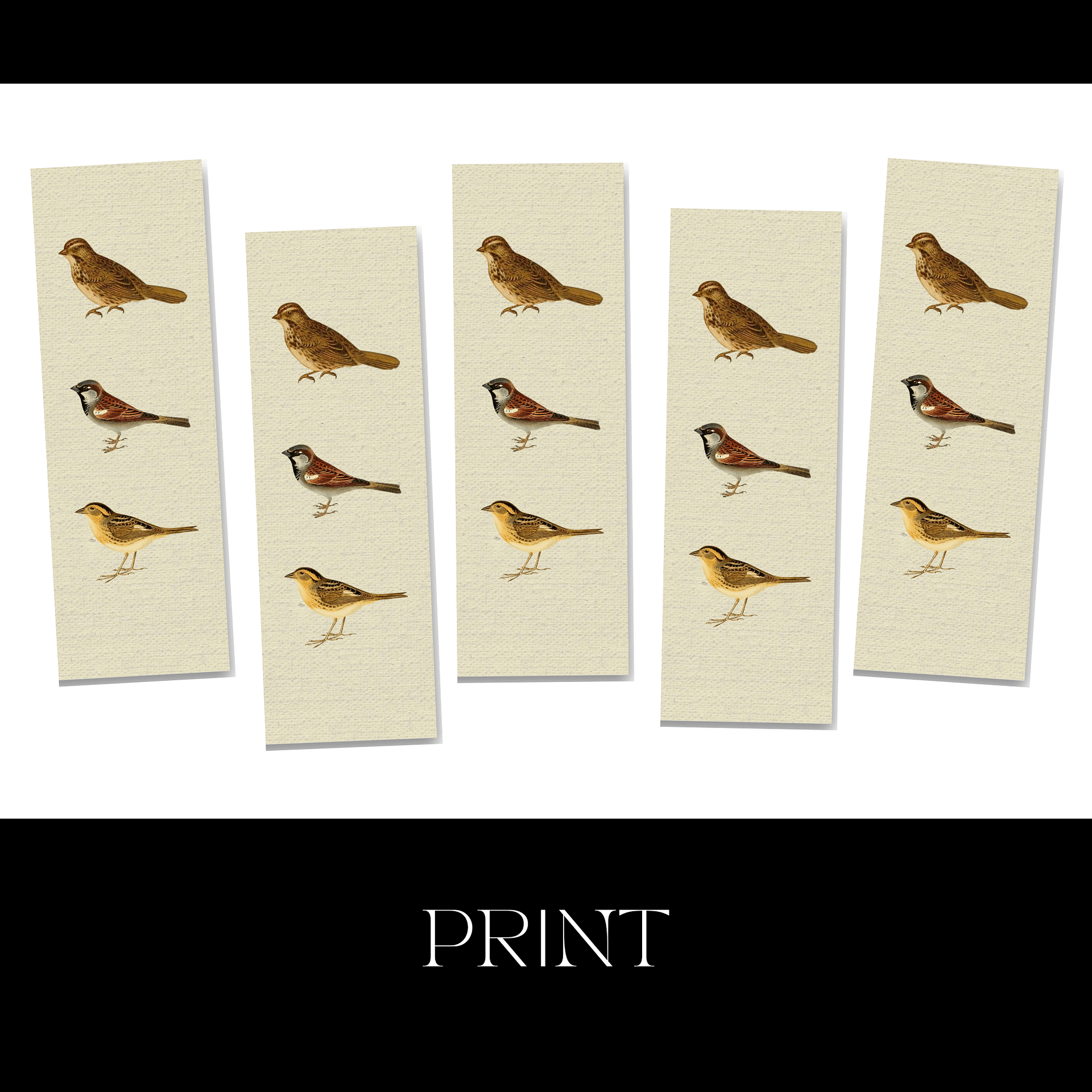 Sparrow Bookmark product image (5)