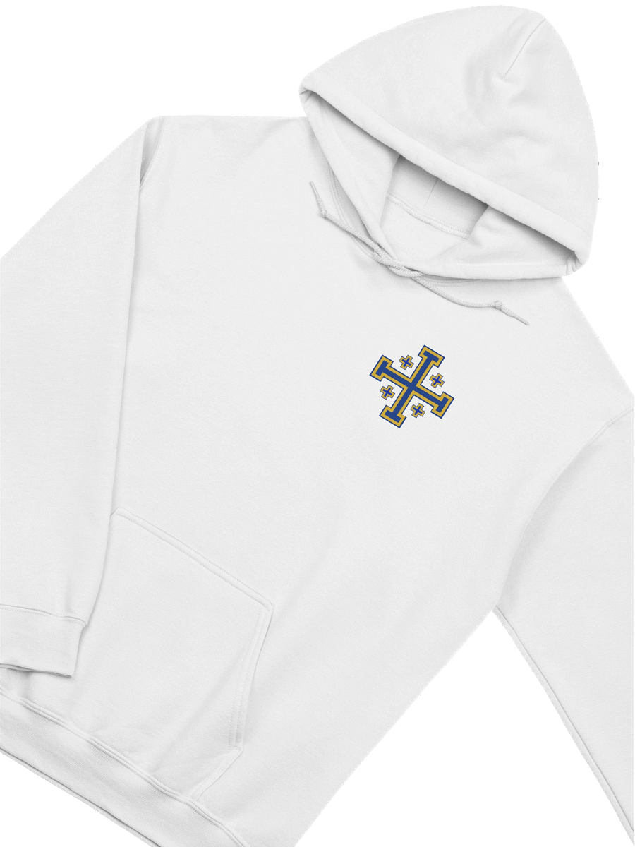 Templar Division Hoodie product image (4)