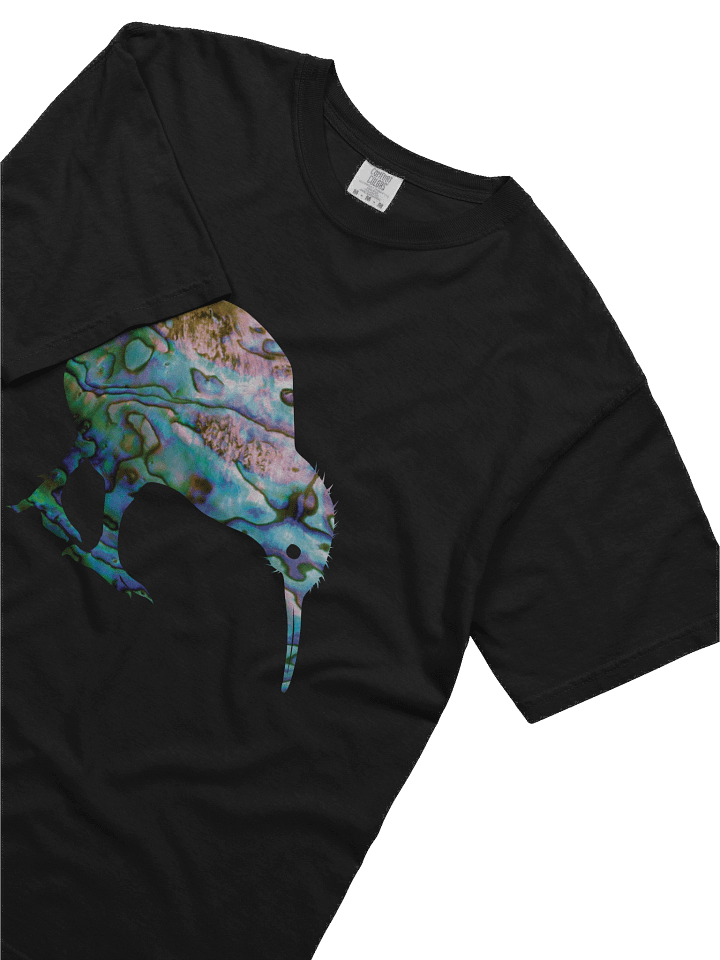 NEW ZEALAND PAUA KIWI BIRD product image (21)