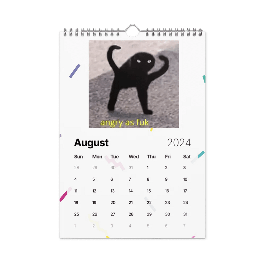 Wall Calendar (2024): Meme Cats product image (4)