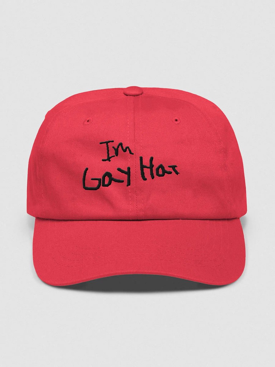 Gay hat pt.1 product image (7)