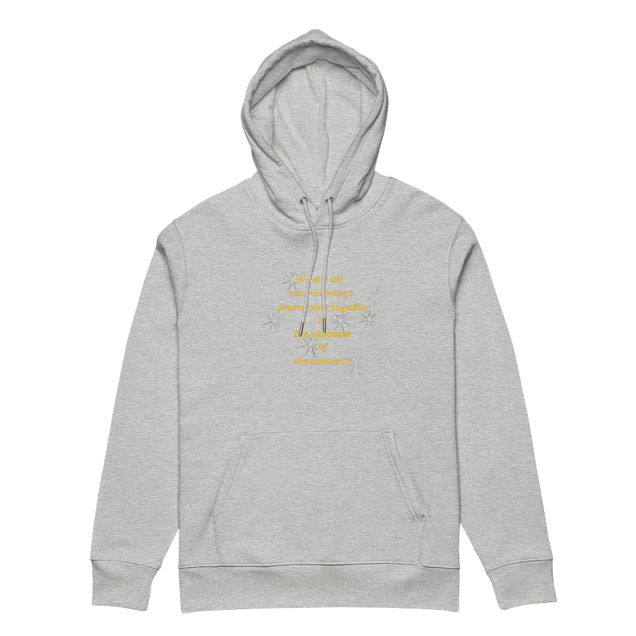 Cosmic Journey Unisex Organic Hoodie product image (5)