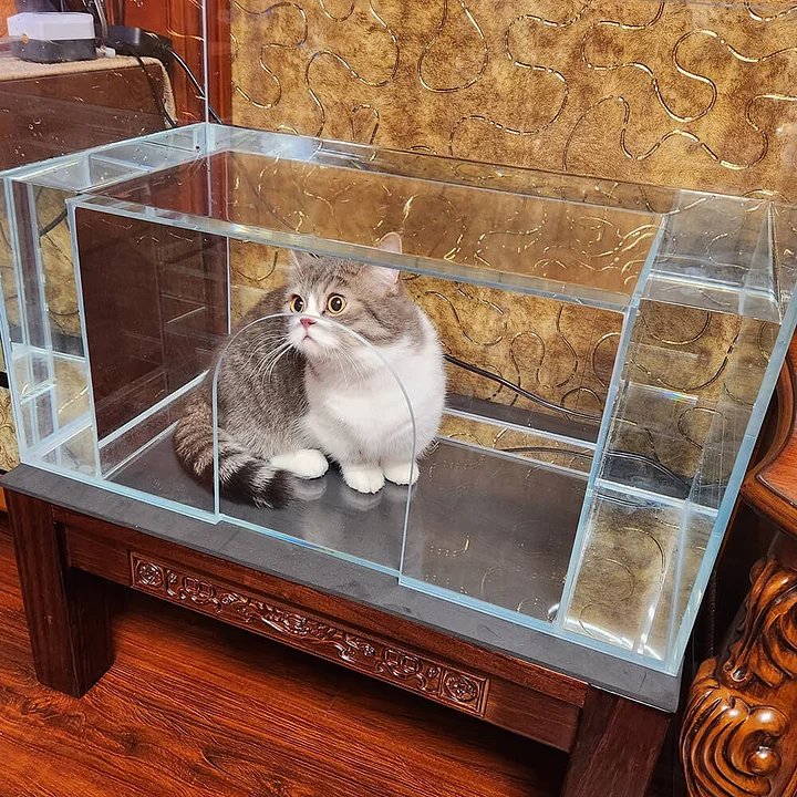 Front Entrance Cat Aquarium - Aquarium V2 product image (1)