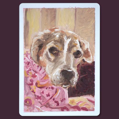 A dog, at my little trading card scale.

This will soon be on the way to the dog's owner.
Oil on card 64x89mm/ 2.5x3.5in

#ar...