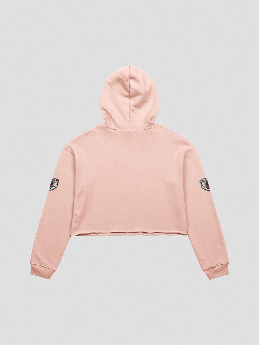 DaLegacy23 White Logo Crop Hoodie product image (7)