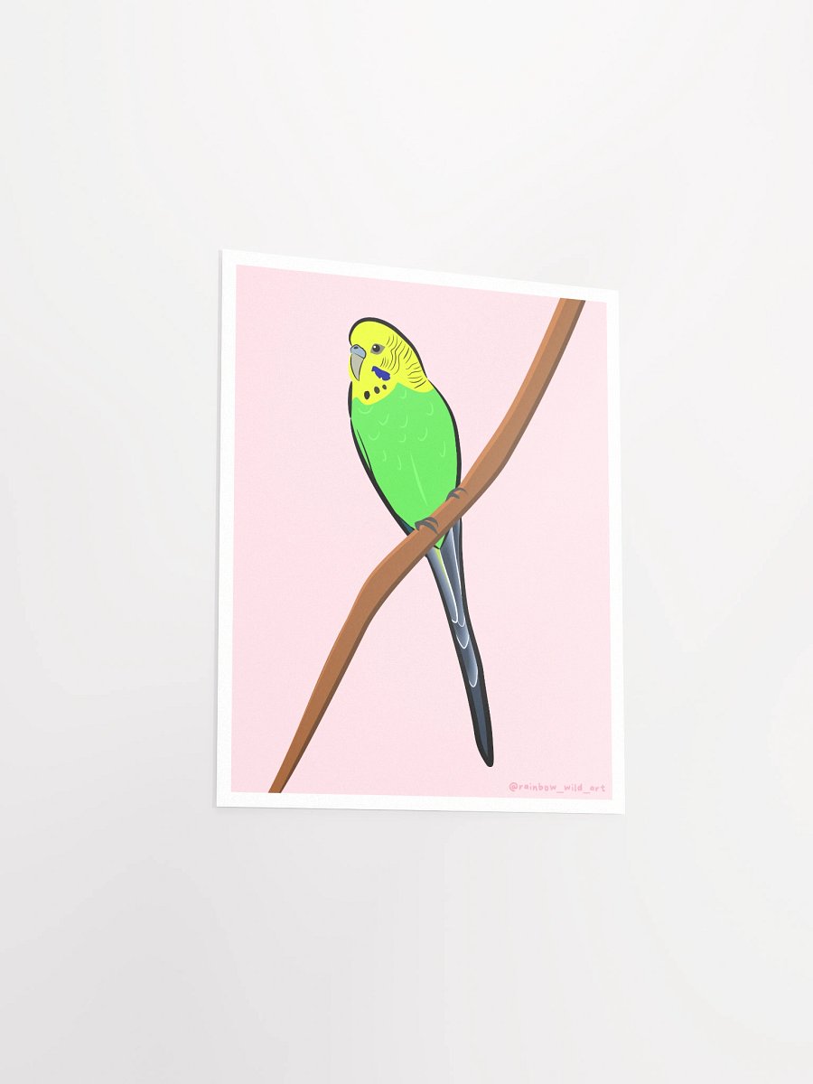 Budgie Print product image (3)