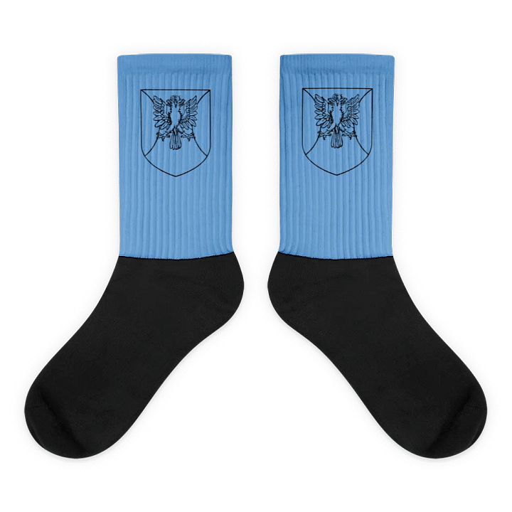 Black Colorless Emblem Socks product image (1)