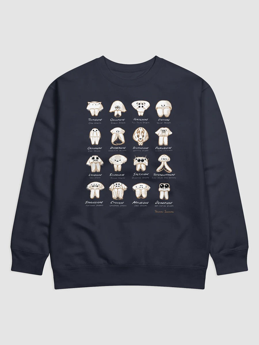 Spider Families Eye Arrangements Sweatshirt product image (3)