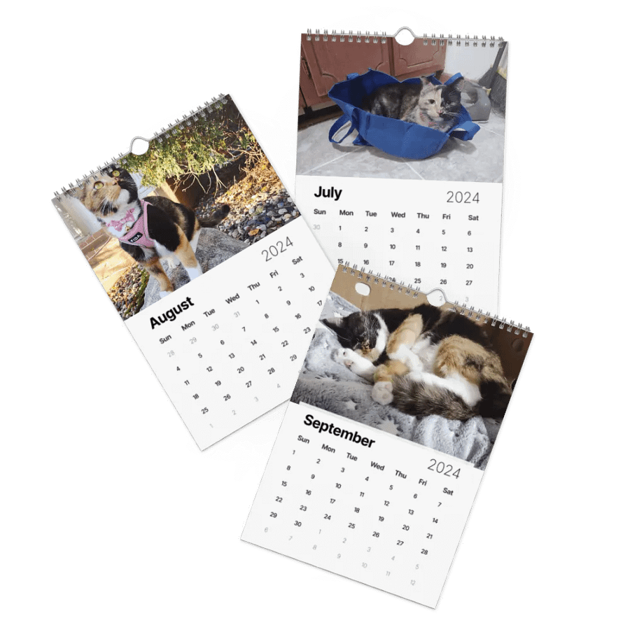 2024 Lyra Calendar product image (20)