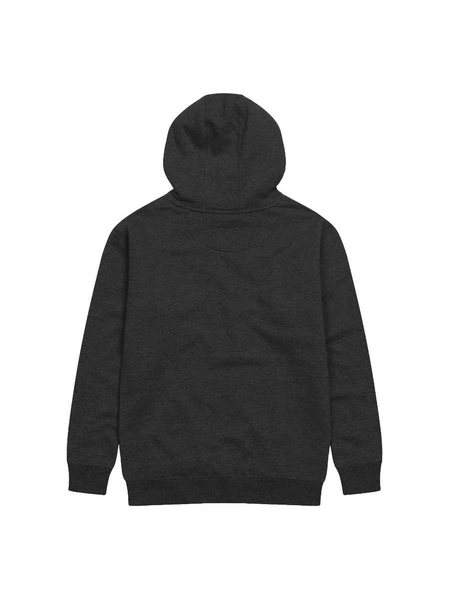 Pre-Petition - Hoodie product image (2)