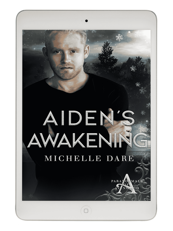 Aiden’s Awakening product image (1)