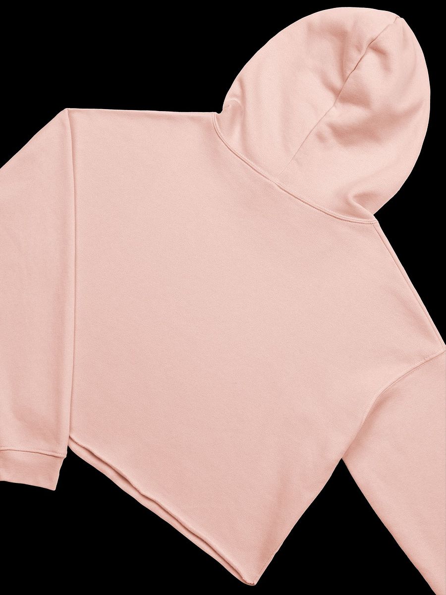 HollyRex Cropped Hoodie product image (28)