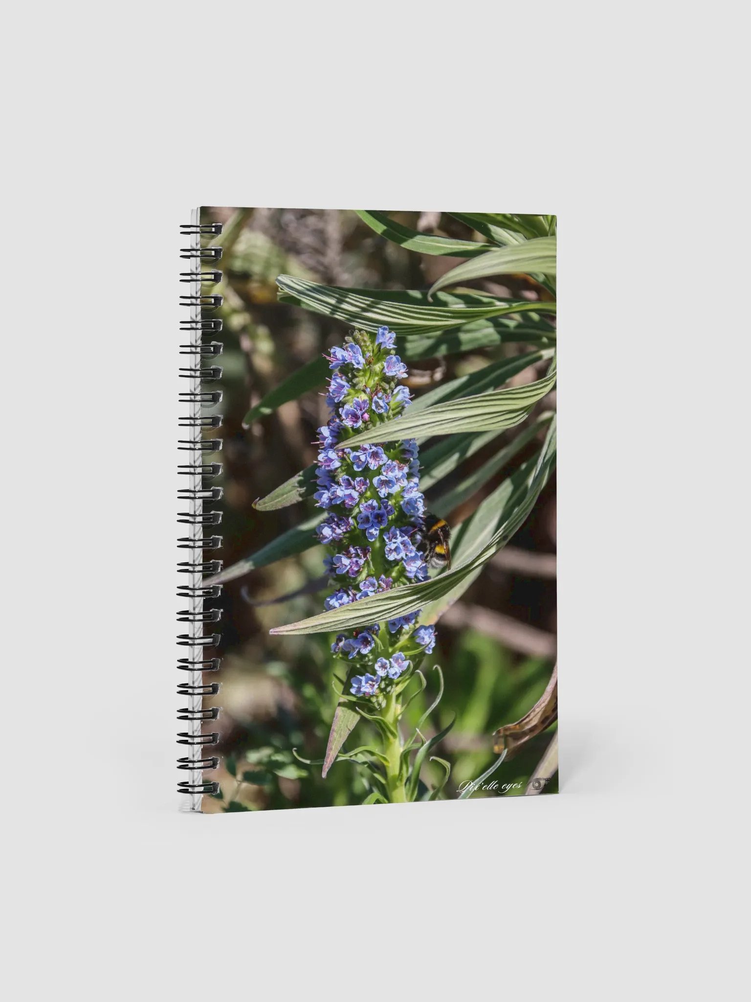 Notebook Collection PURE – Jardin du Rayol – Vipérine de Madère product image (1)