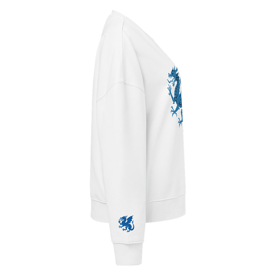 🔵 100% Organic Cotton - Blue Dragon – Voice of the Storm Sweater product image (22)