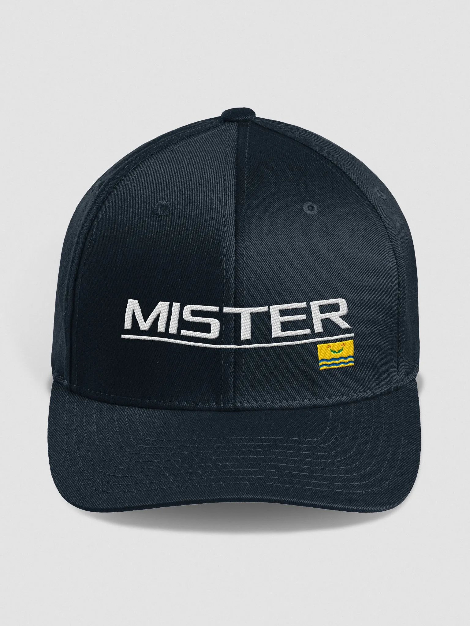 Mister Gorra product image (1)