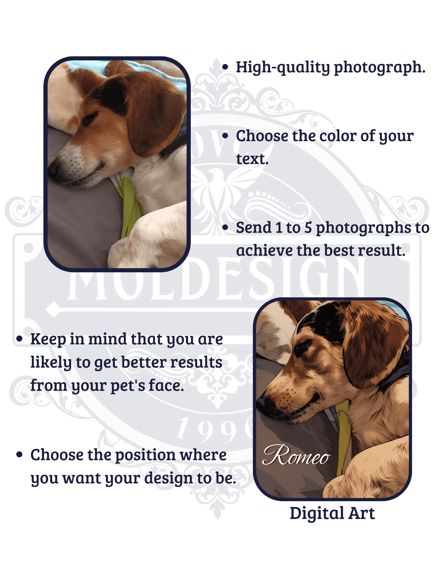 YOUR BEST FRIEND! / THROW BLANKET WITH PERSONALIZED NAME product image (2)