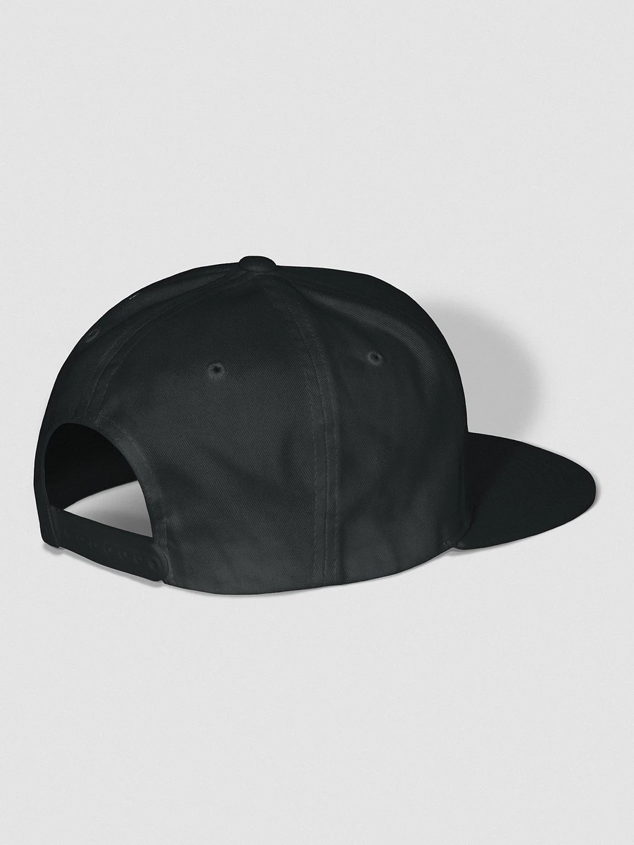 Monogamish words snap back cap product image (15)