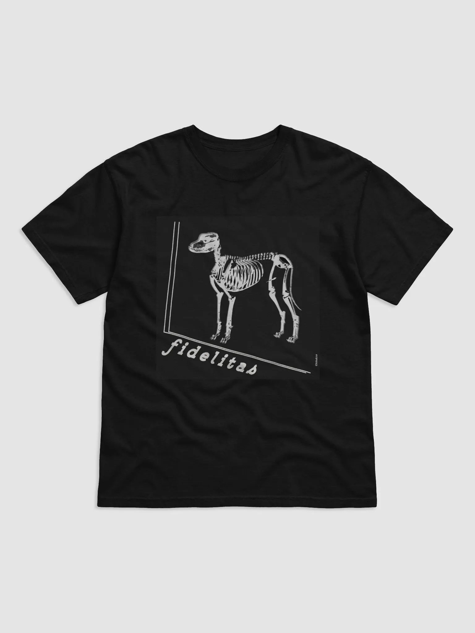 Fidelitas product image (5)