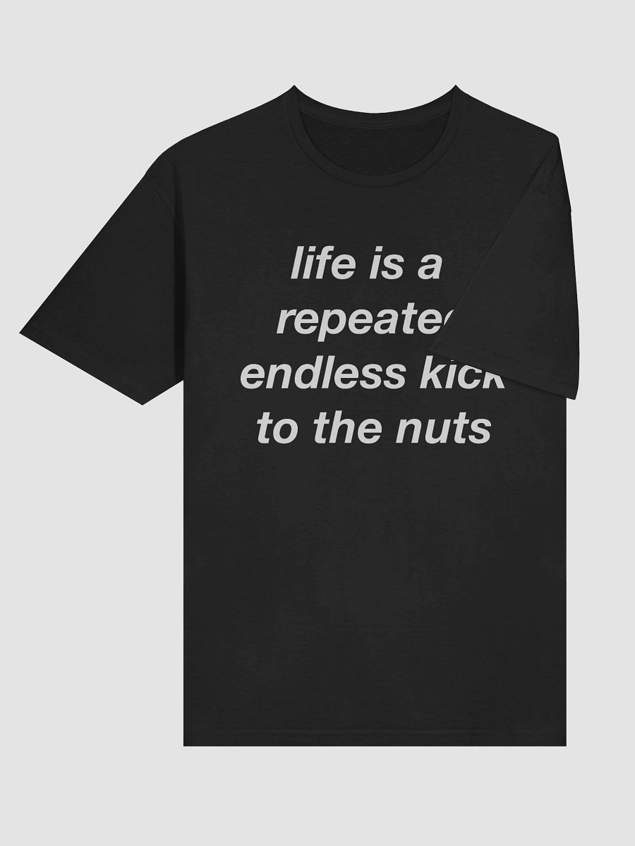 Life is repeated endless kick to the nuts product image (6)