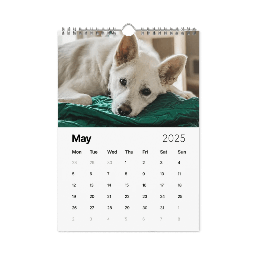 Eli's Favorite 2025 Calendar product image (10)