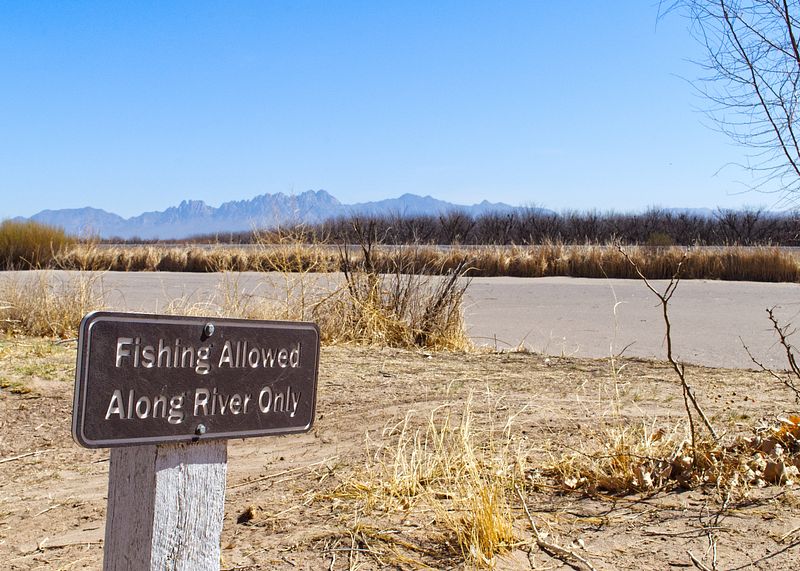 Fishing Allowed