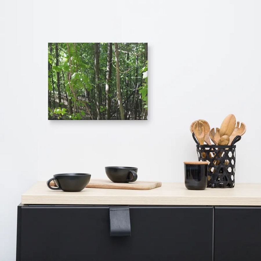 Empire Bluff Forest Canvas product image (8)