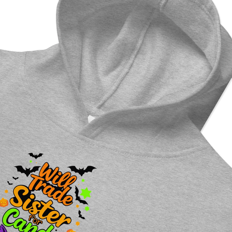 Will Trade Sister For Candy Youth Pullover Fleece product image (32)