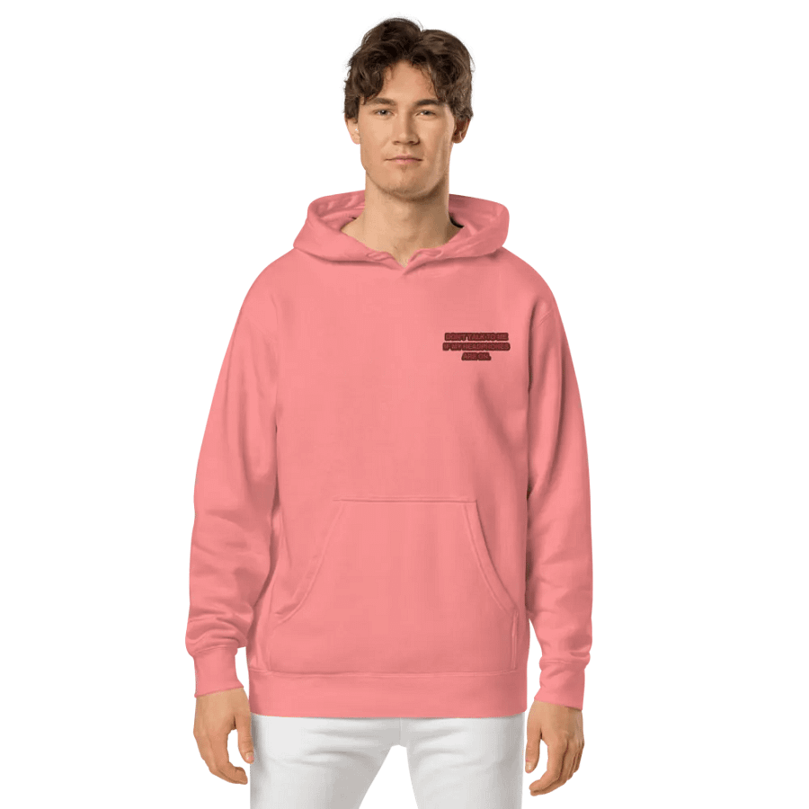 L.C. HEADPHONES ON (cherry design) embroidered pigment hoodie product image (3)