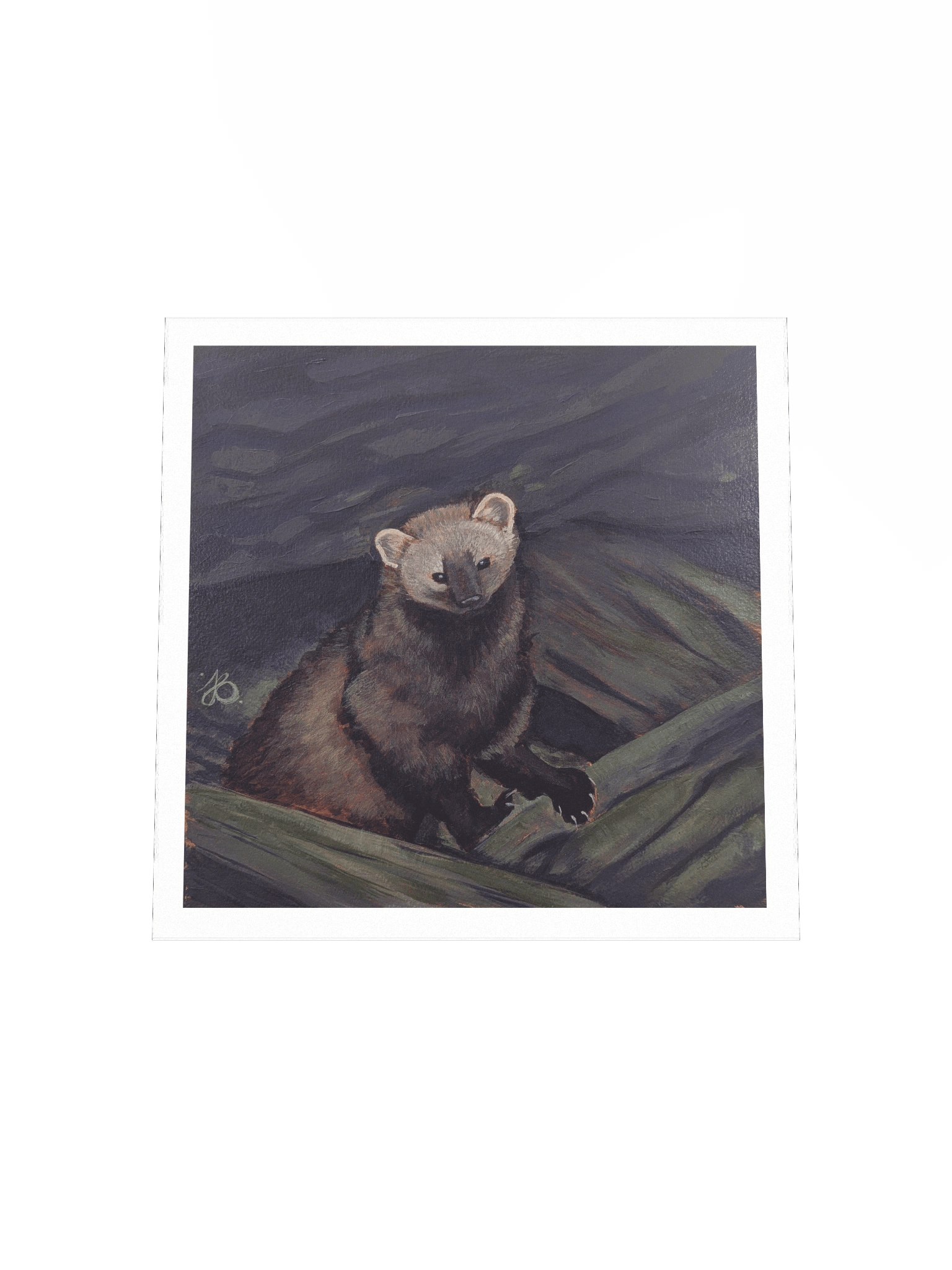 Shy Fisher Cat — Premium Matte Poster product image (7)