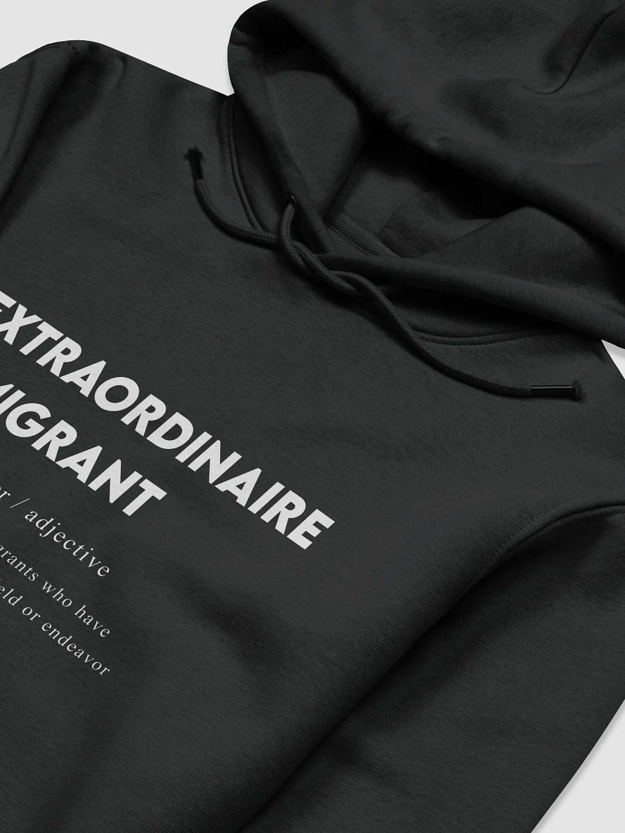 "Extraordinaire Immigrant Hoodie" product image (3)