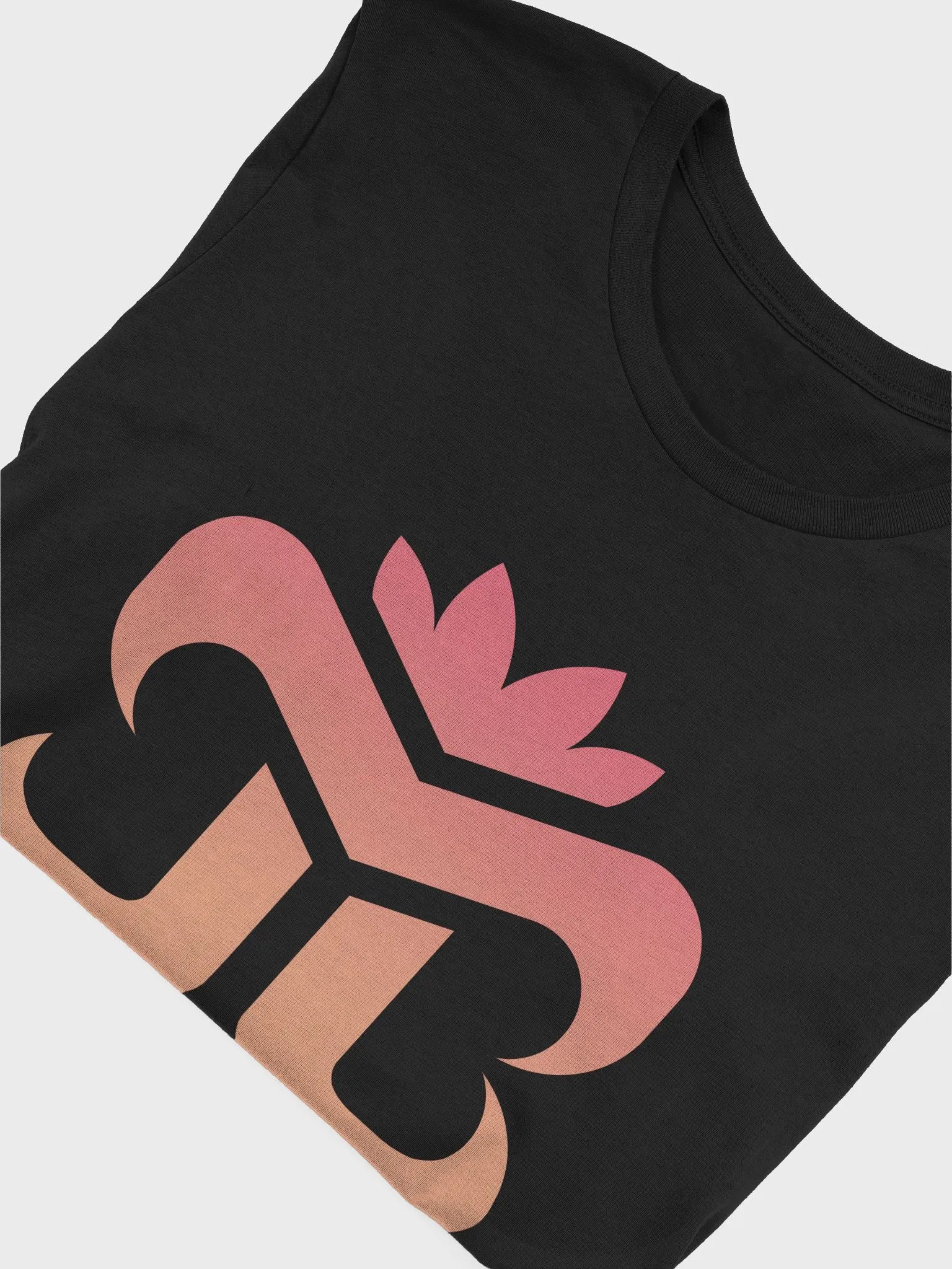 JB Logo Tee (Orange) product image (3)