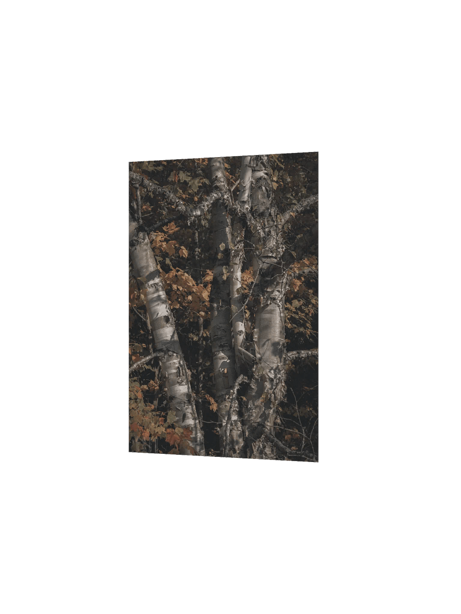 Elec Aspen product image (4)