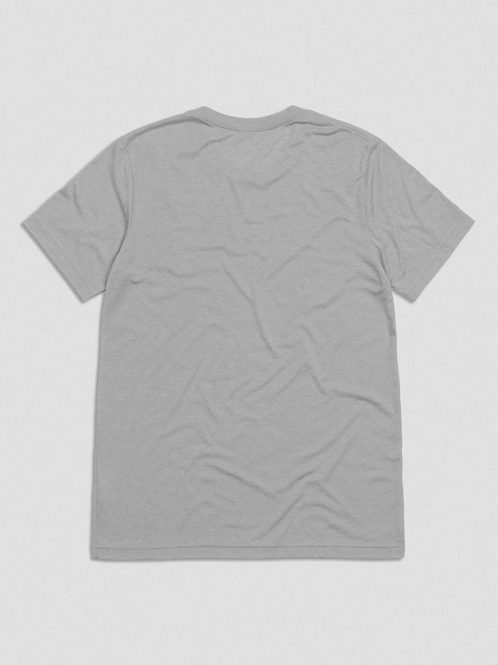Pedantic T-Shirt (Red Box, Tri-Blend) product image (8)