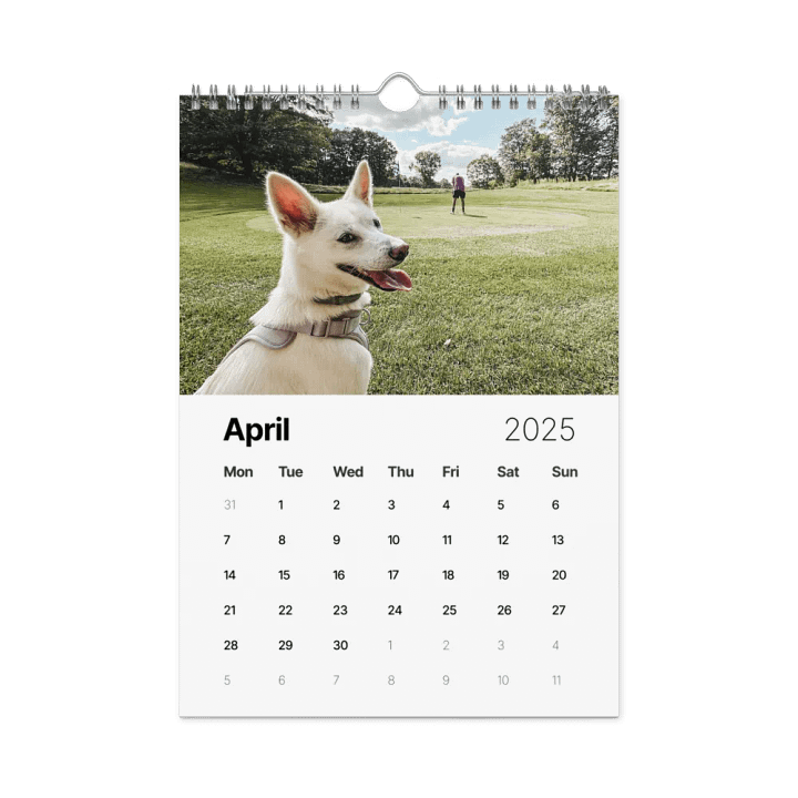 Eli's Favorite 2025 Calendar product image (1)