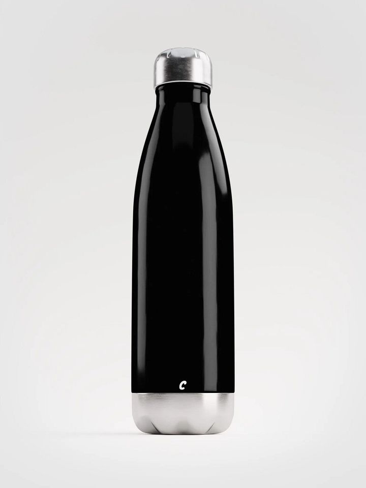 Stainless Steel Water Bottle product image (1)