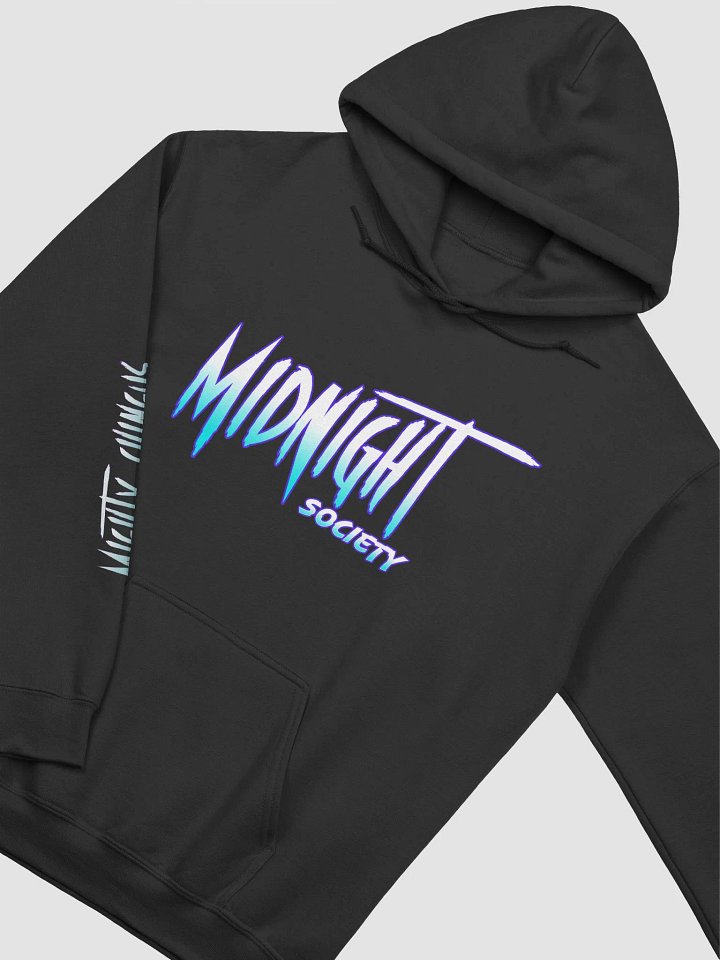 Chingus MS Hoodie product image (2)