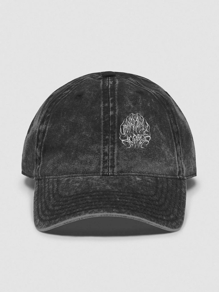What's that band? (Dad Hat) product image (1)