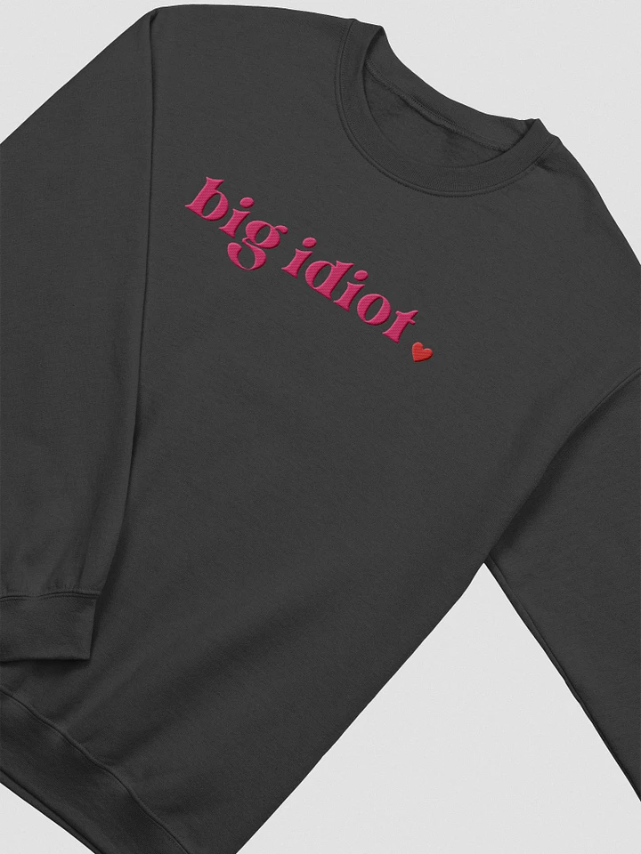 Big Idiot Embroidered Sweater product image (1)