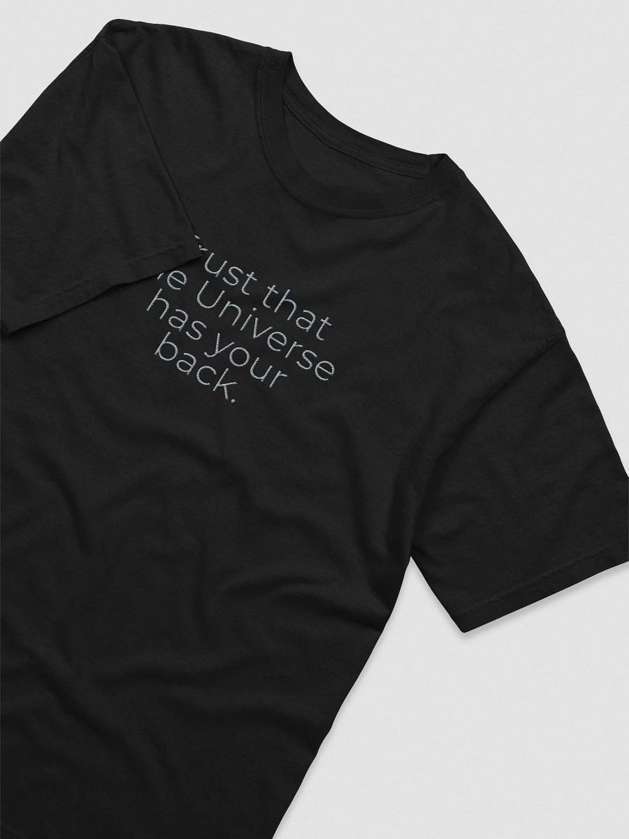 Comfort Colors® Embroidered T-Shirt - Trust That the Universe Has Your Back product image (3)
