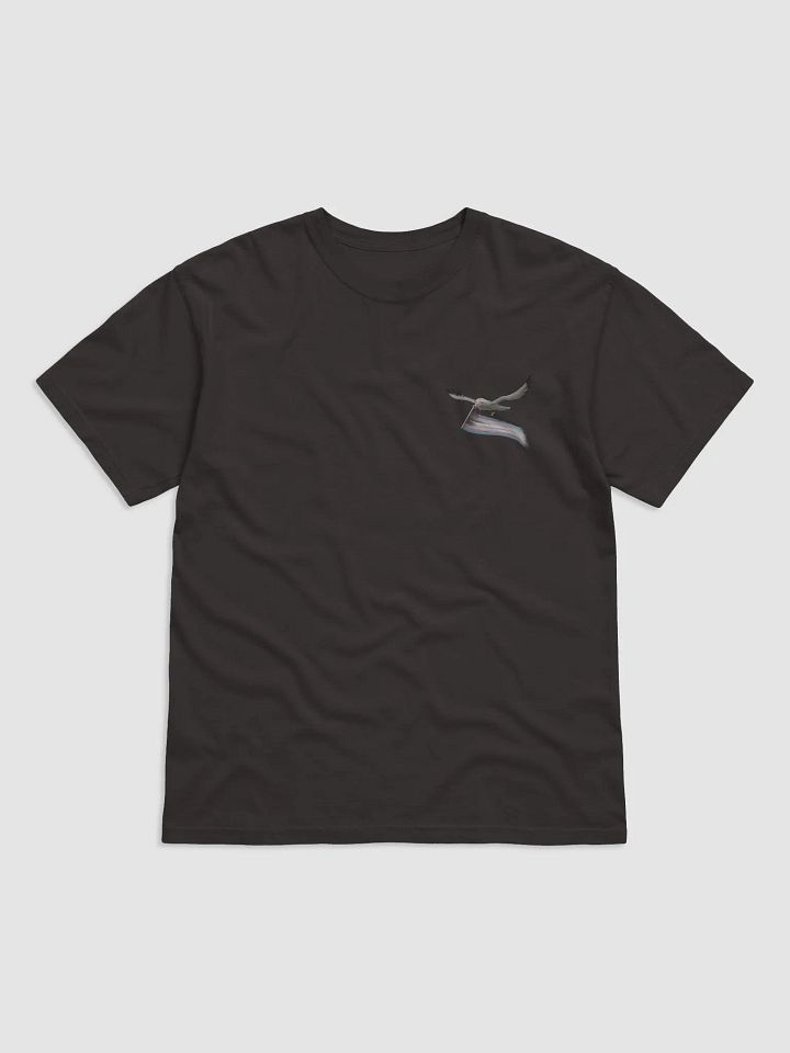 Valentina says trans rights product image (9)