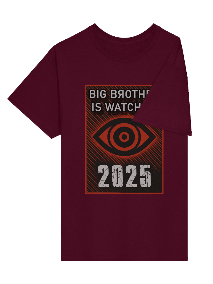 2025 Big Brother Is Watching Tee product image (2)