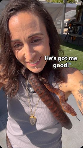Bewitched by beauty. 
****
->Follow @snaketherapy_shiraloa and *SUBSCRIBE ON YOUTUBE* (@ Snake_Therapy) for more snake-loving...