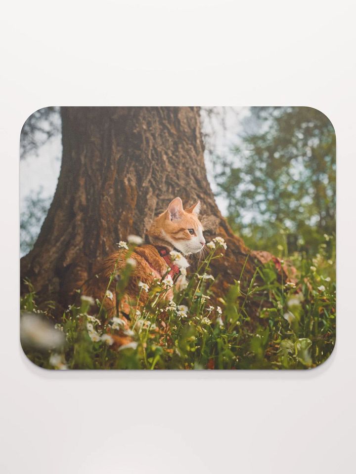 Mr Mouse Pad product image (2)