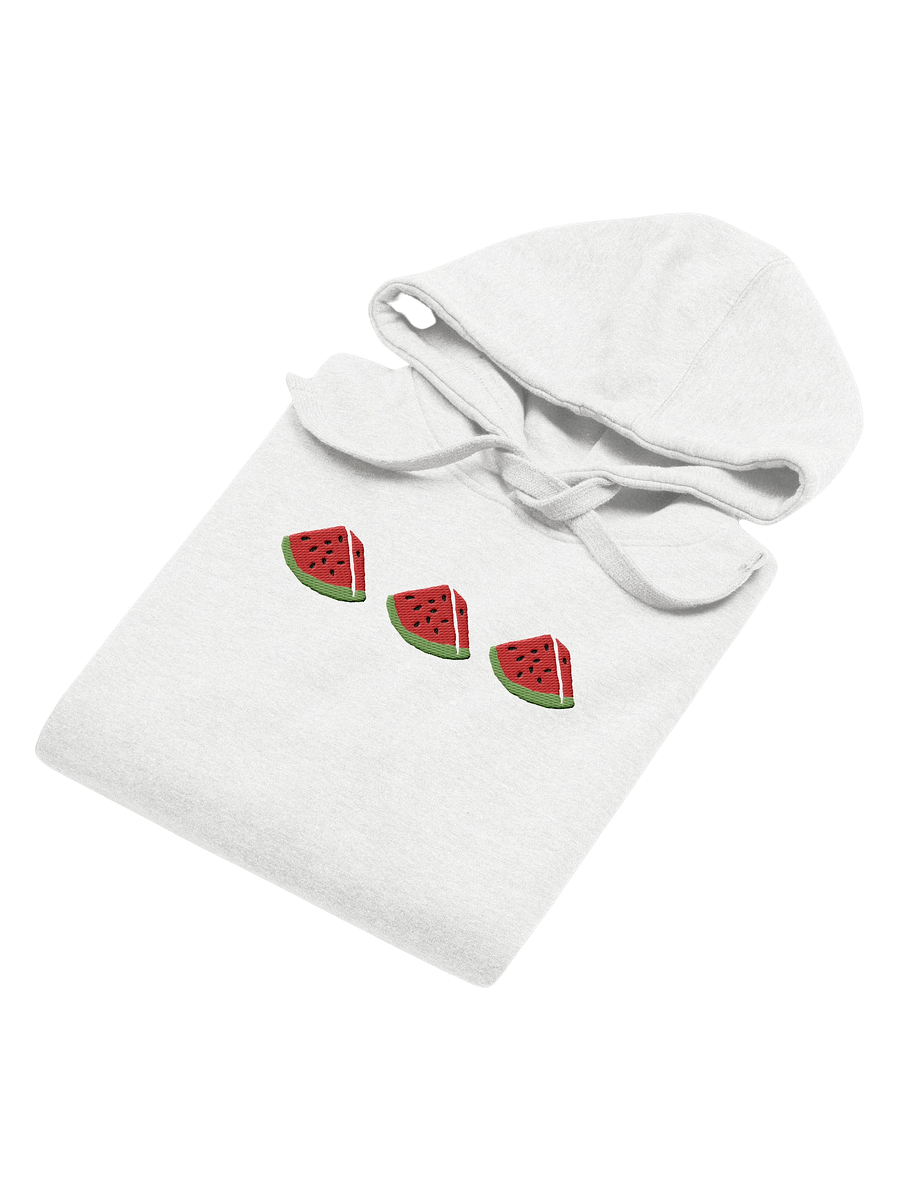 Sandia Embroidered Hoodie (white) product image (3)