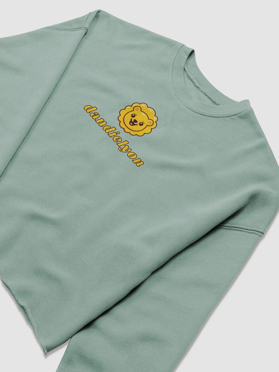dandielyon cropped sweatshirt product image (12)