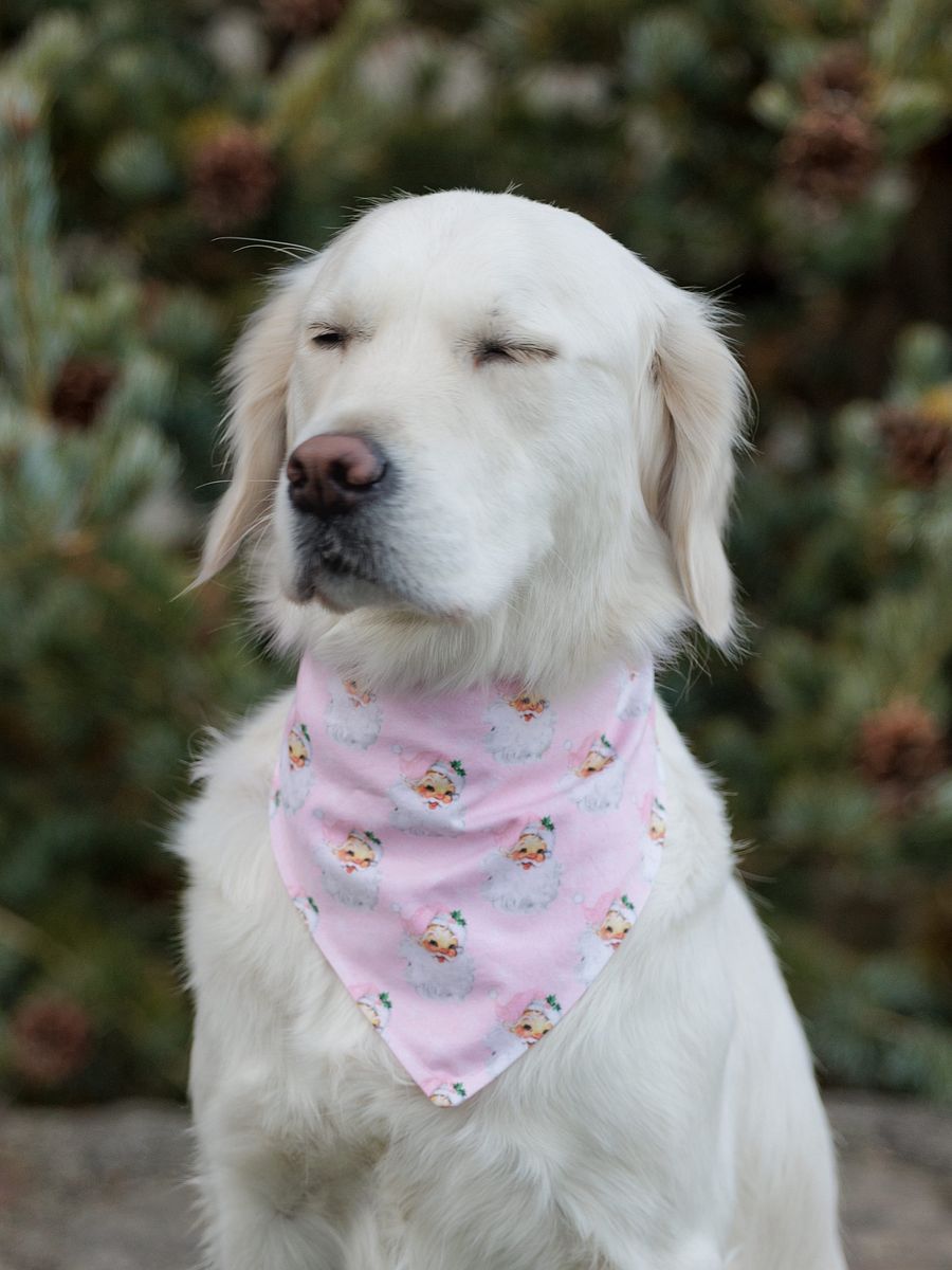 Pink Santas Bandana product image (5)