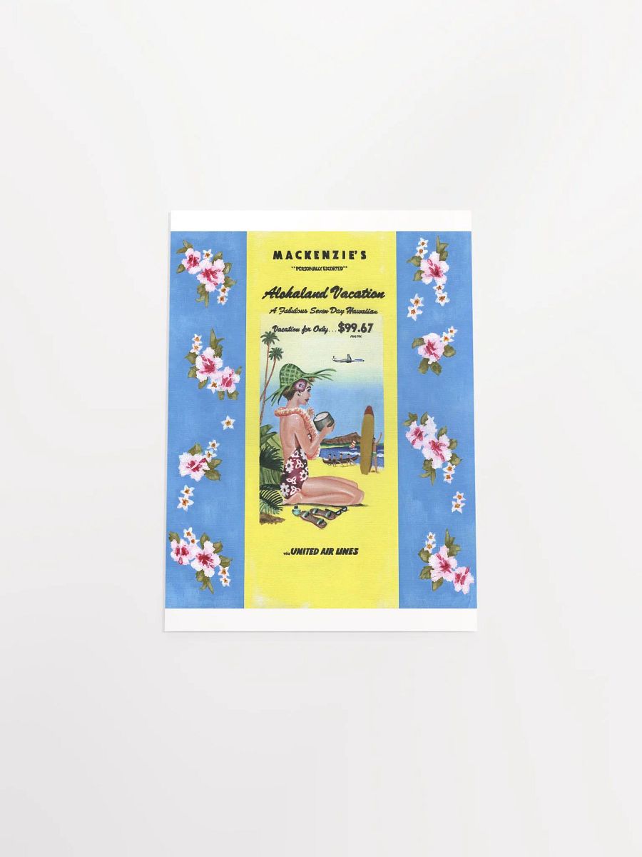 Alohaland Vacation product image (43)