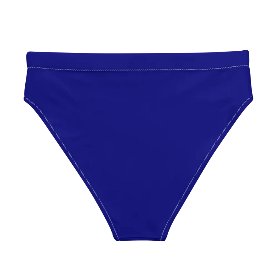 Plain Color Navy Blue Bikini Bottom product image (6)